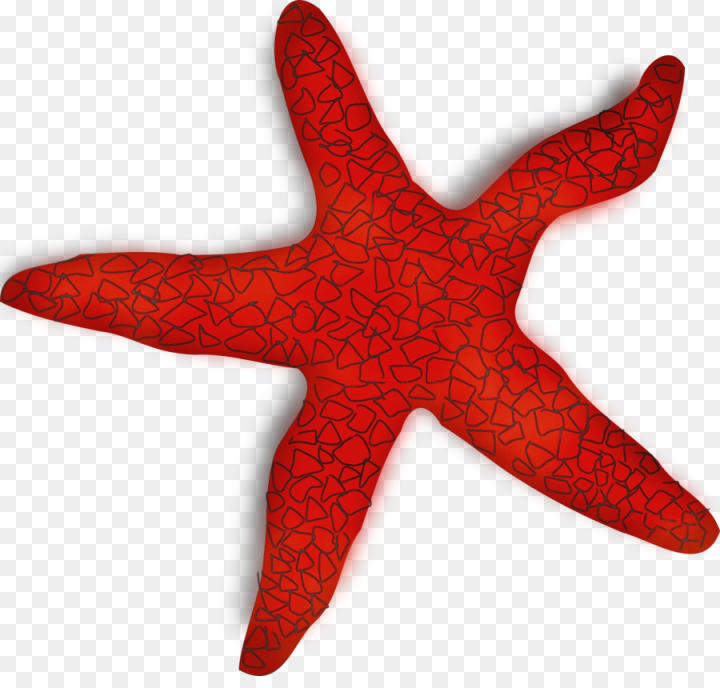 watercolor,paint,wet ink,starfish,red,marine invertebrates,carmine,png