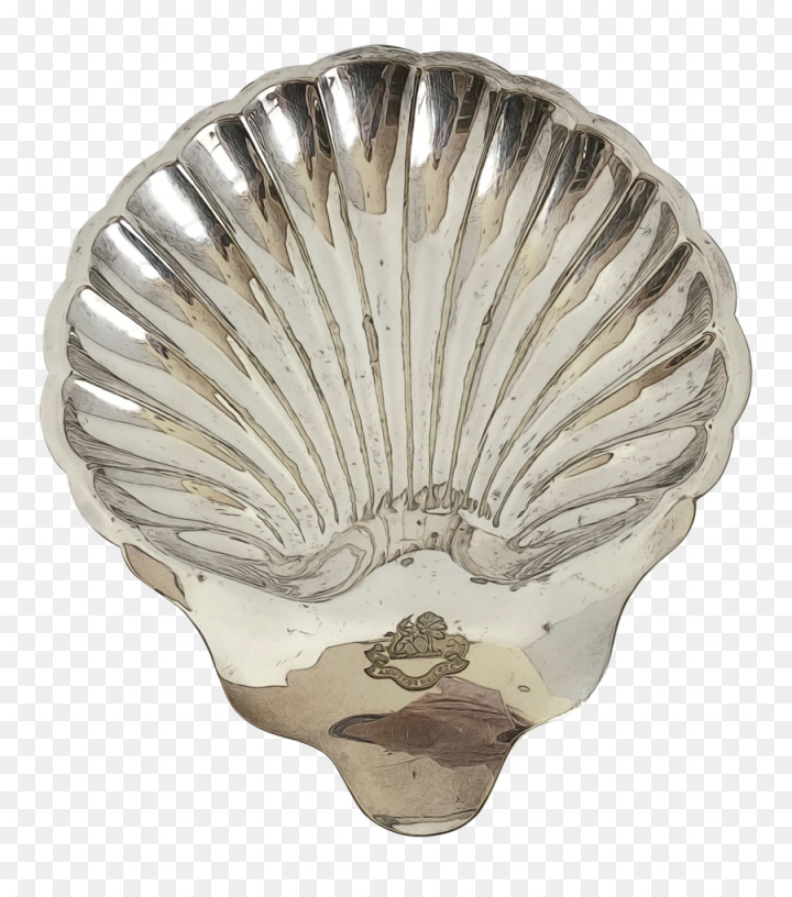 artifact m,cockle,silver,tableware,scallop,shell,bivalve,bowl,shellfish,clam,metal,seafood,glass,antique,png