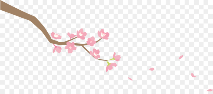 branch,pink,blossom,cherry blossom,flower,plant,spring ,twig,petal,png