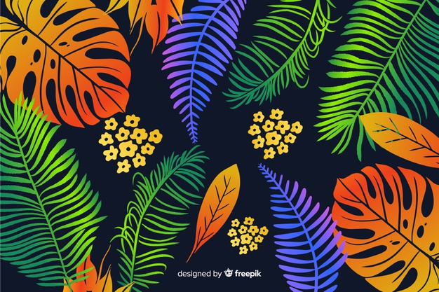 monstera leaves,exotic flower,monstera leaf,blooming,vegetation,monstera,exotic,bloom,palm leaves,tropical flower,drawn,palm leaf,beautiful,blossom,palm,natural,palm tree,plant,tropical,colorful,color,leaves,hand drawn,nature,leaf,hand,flowers,tree,floral,flower,background