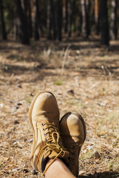 Free: Close-up shoes on sunlight forest path Free Photo - nohat.cc