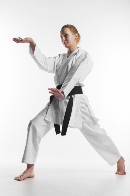 Karate Crane Photos, Images and Pictures