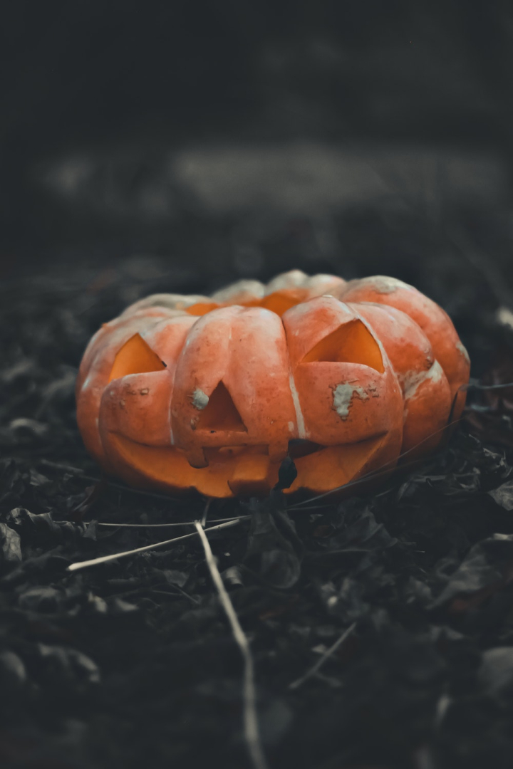 eerie,halloween,halloween pumpkin,jack o&#39;lantern,pumpkin,scary,vegetable