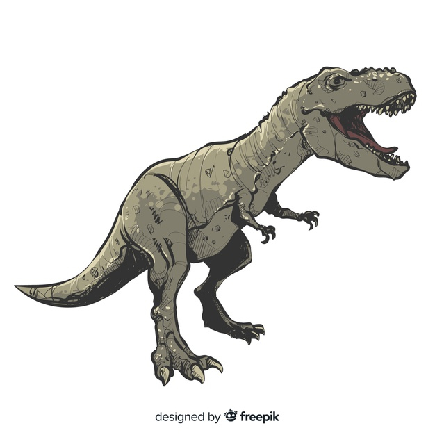 Drawing Dinos | AMNH