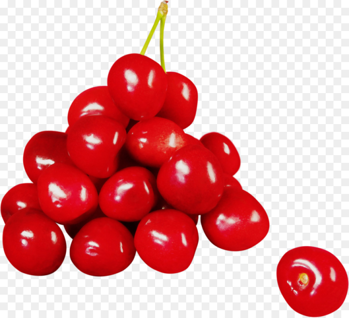watercolor,paint,wet ink,cherry,fruit,natural foods,red,food,plant,berry,superfruit,lingonberry,cranberry,png