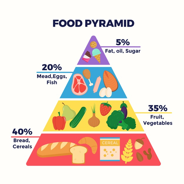 beneficial,food pyramid,categories,meals,concept,lifestyle,pyramid,healthcare,nutrition,diet,healthy,health,template,food