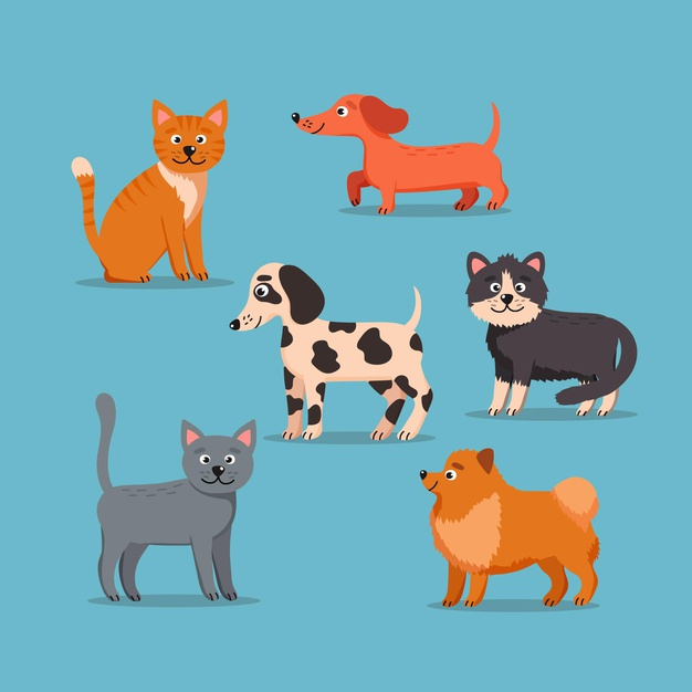 companion,illustrated,domestic,variety,different,set,collection,pack,lovely,care,illustration,pet,cute,animal,nature