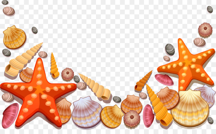 seashell,conch, encapsulated postscript,drawing,mollusc shell,gastropod shell,orange,shell,organism,png