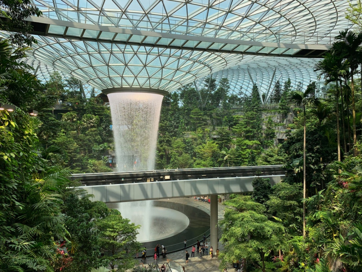 architecture,bridge,building,garden,park,singapore