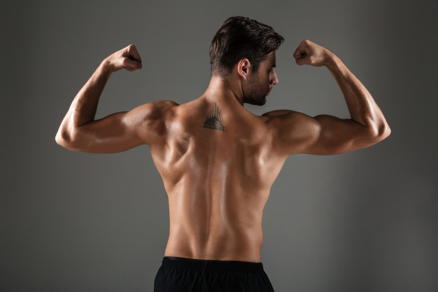 Free: Back view image of young sports man showing biceps Free Photo 