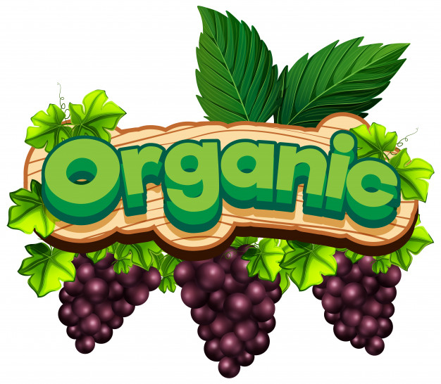 farming,signage,fresh,grapes,letters,vegetable,healthy,agriculture,natural,organic,plant,letter,font,fruit,farm,cartoon,food,frame