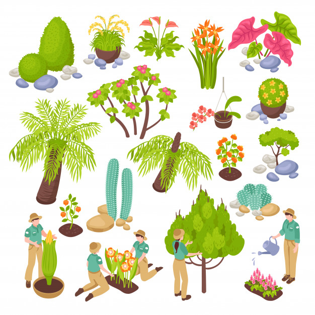 cultivation,greenhouse,agricultural,fir,gardener,greenery,set,lawn,environmental,public,collection,harvest,bush,flora,botanical,fresh,outdoor,stone,service,ecology,environment,natural,organic,worker,eco,plant,isometric,garden,work,grass,forest,leaf,wood,abstract,tree