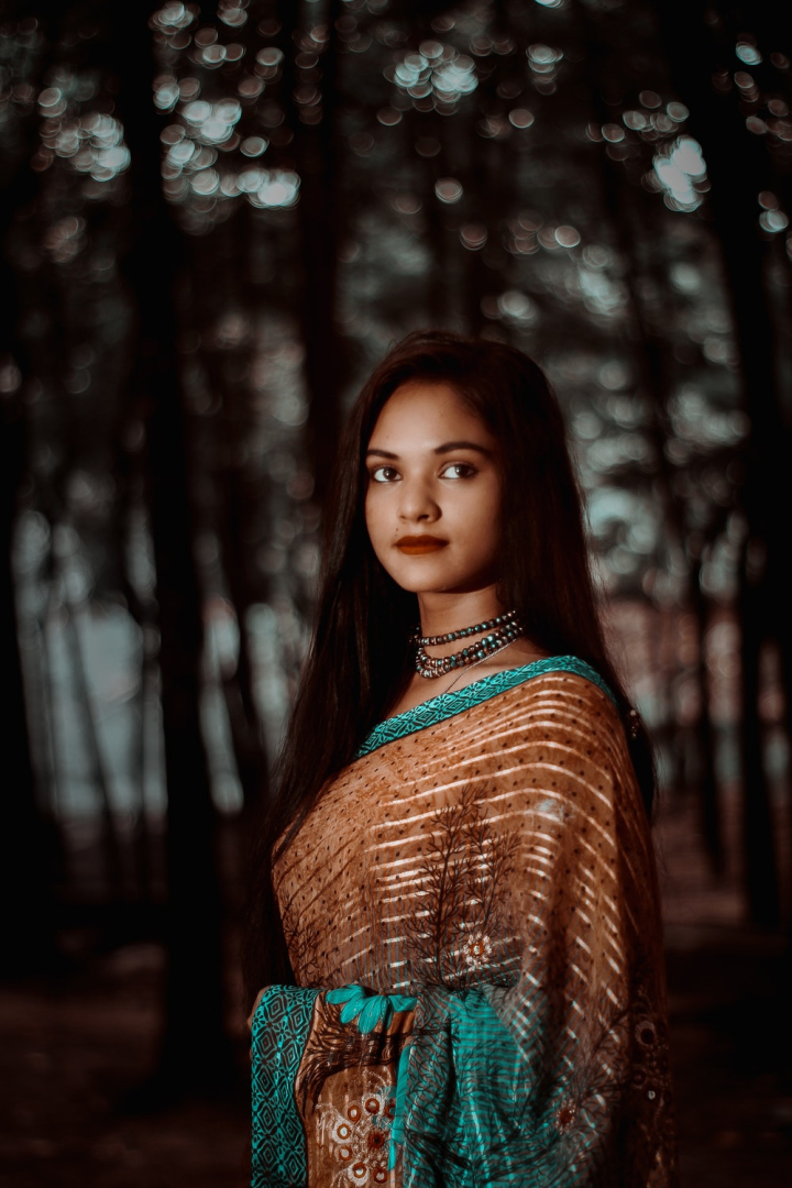 Indian Beautiful Young Girl Traditional Saree Stock Photo 1108894898 |  Shutterstock