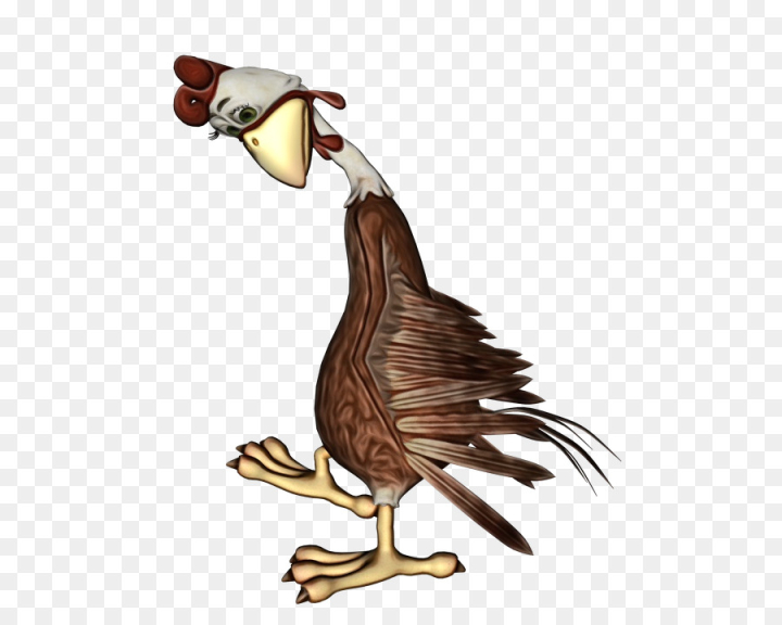  cartoon,download,image file formats,rooster,bird,beak,galliformes,vulture,wing,chicken,goose,accipitriformes,art,png