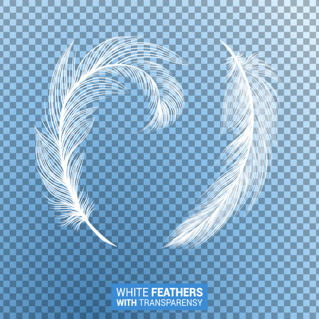 White feathers background falling flying fluffy Vector Image