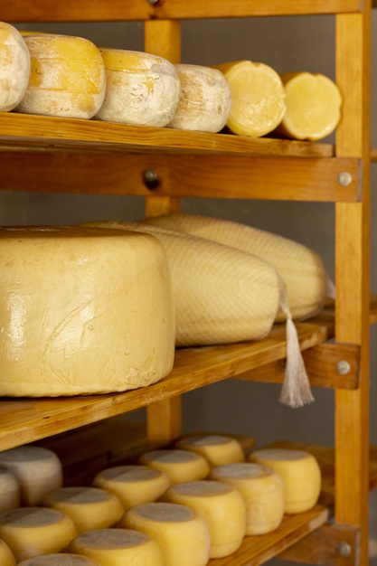 Closeup of a man slicing a Parmigiano Reggiano cheese wheel Stock