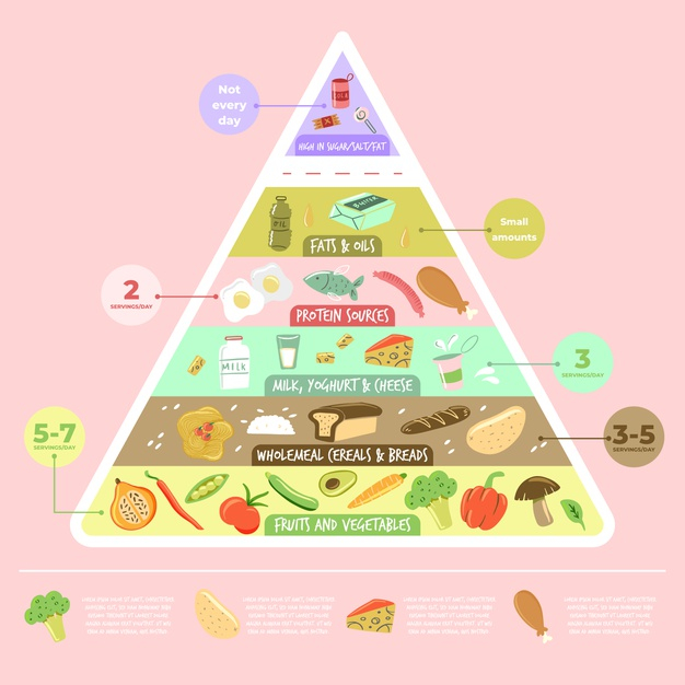 Free: Pyramid nutrition shape of healthy food Free Vector - nohat.cc