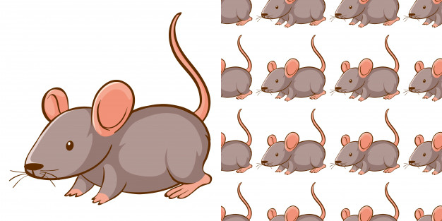 mouse rat seamless pattern vector yarn ball cartoon scarf isolated tile  background repeat wallpaper illustration 27526508 Vector Art at Vecteezy