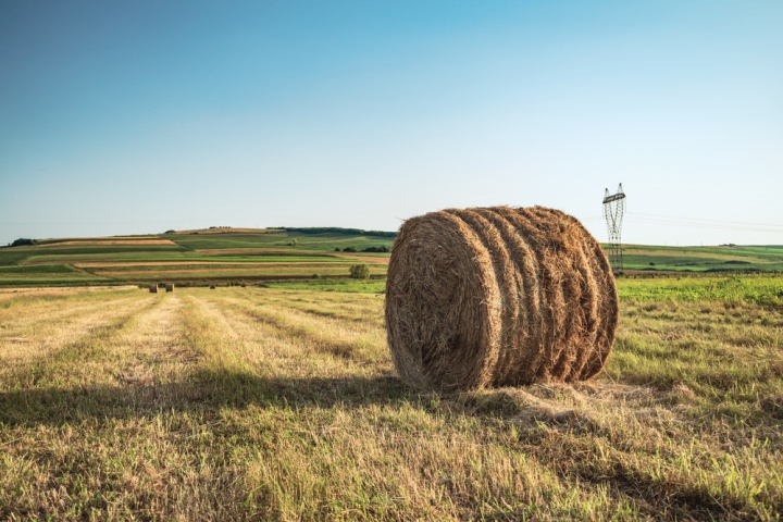 agriculture,countryside,cropland,daylight,daytime,dry,farm,farmland,field,grass,hay,hay bale,hay field,hay roll,hayfield,haystack,outdoors,rural