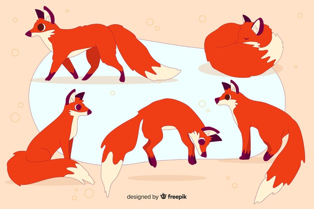 Free Vector  Hand drawn wild animals