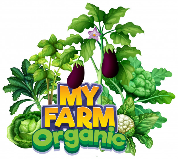 my farm,farms,kale,cauliflower,eggplant,cabbage,rural,farming,letters,organic,plant,font,farm,cartoon,nature,food