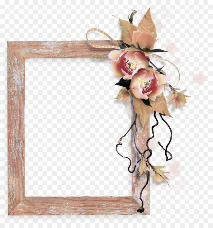picture frame,twig,plant,png
