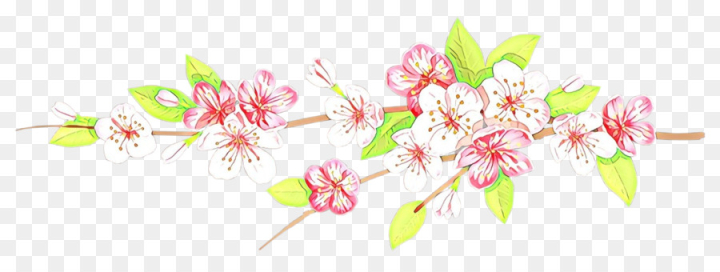  cartoon,pink,flower,plant,blossom,cherry blossom,spring ,branch,cut flowers,png