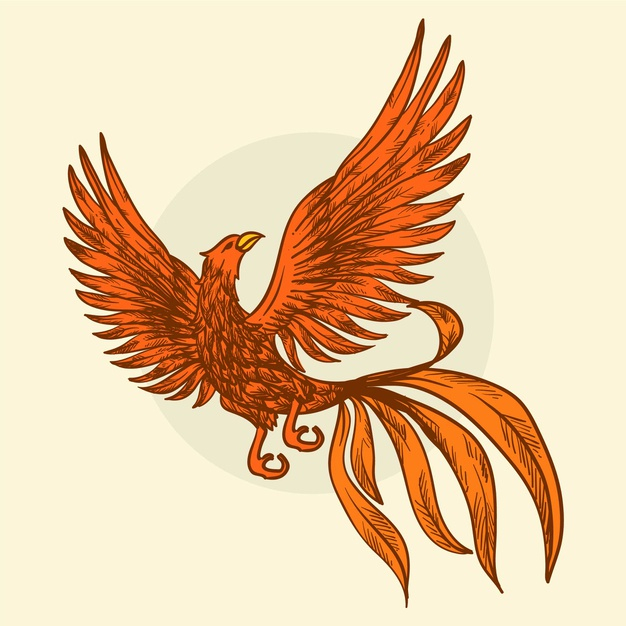 Phoenix Bird Drawing Vector Images (over 1,800)