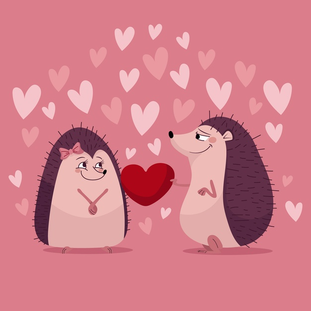 february 14th,14th,romanticism,togetherness,falling,happy couple,february,romance,hedgehog,lovers,lovely,day,beautiful,together,romantic,valentines,celebrate,couple,happy,valentine,valentines day,animal,love,heart