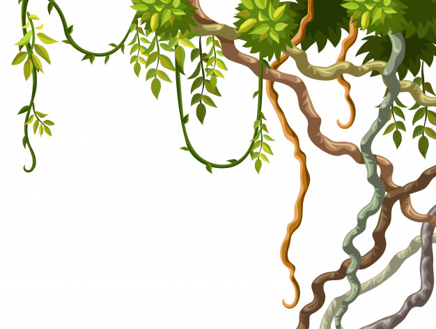 liana,foliage,set,branch,jungle,plant,cartoon,leaf,wood,tree