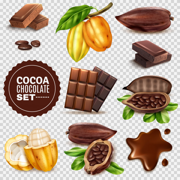 ripe,dried,pod,treat,melted,raw,piece,tasty,cacao,realistic,set,cocoa,collection,bean,meal,seed,snack,transparent,fresh,dark,eating,nutrition,dessert,product,sweet,natural,bar,plant,candy,3d,milk,leaves,chocolate,fruit,tree,food