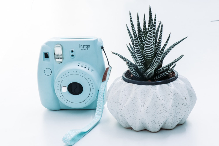 camera,fujifilm,instant camera,instax,plant,pot plant