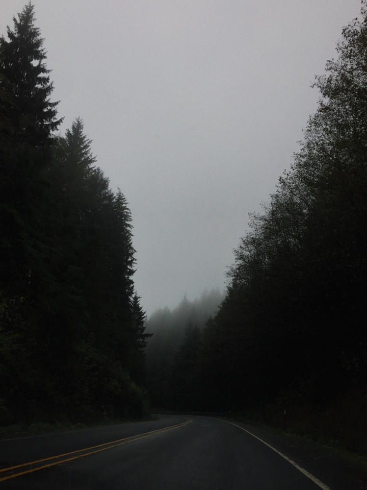 adventure,asphalt,curve,expressway,fog,foggy,forest,highway,mist,misty,nature,road,road trip,roadway,travelling,trees,trip (journey),woods