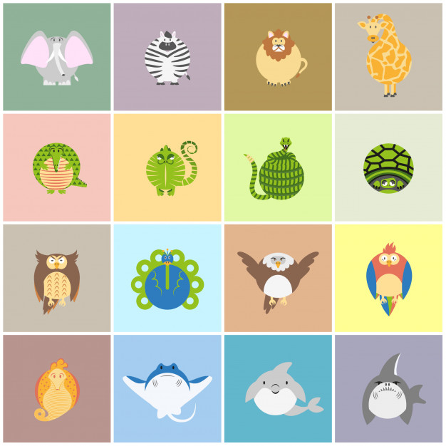 Free: Cute zoo animals card set Free Vector 