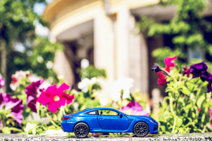 blooming,blue,blurred background,car,close-up,colors,daylight,design,display,flora,flowers,focus,garden,metal,miniature,miniature toy,model,outdoors,shiny,toy,toy car,wheels