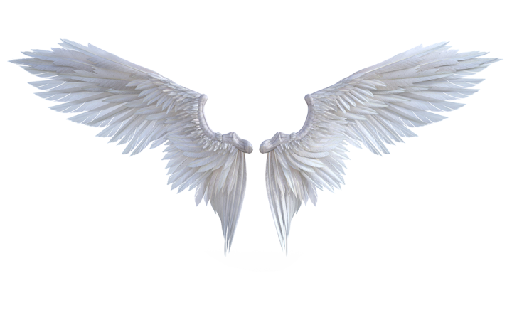 wings,wing,white,background,angle wings,object,isolated object,3D,3d render