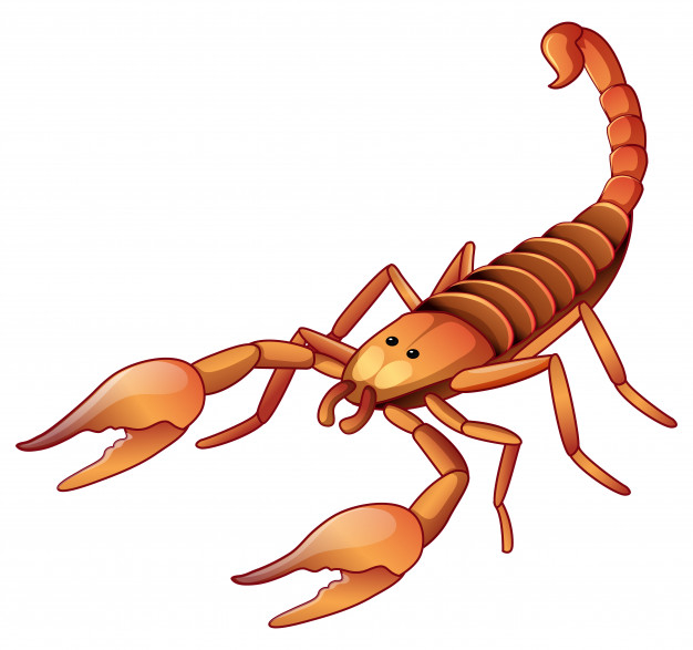 creepy crawly,crawly,clipping,creature,creepy,small,living,insects,scorpion,bug,legs,insect,brown,mask,animals,cute,animal,cartoon,character