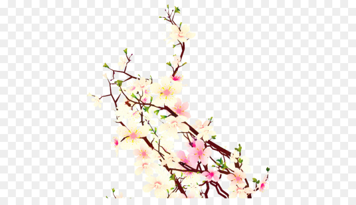 cherry blossom,cherries,blossom,desktop wallpaper,sakura haruno,national cherry blossom festival,flower,spring ,drawing,transparent blossom,petal,branch,plant,pink,twig,pedicel,flowering plant,plant stem,png