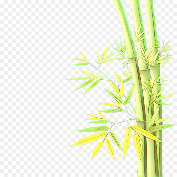 cartoon,green,plant,grass,leaf,plant stem,grass family,flower,bamboo,png