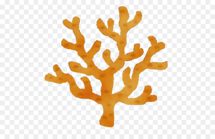 Free: tree coral plant - nohat.cc