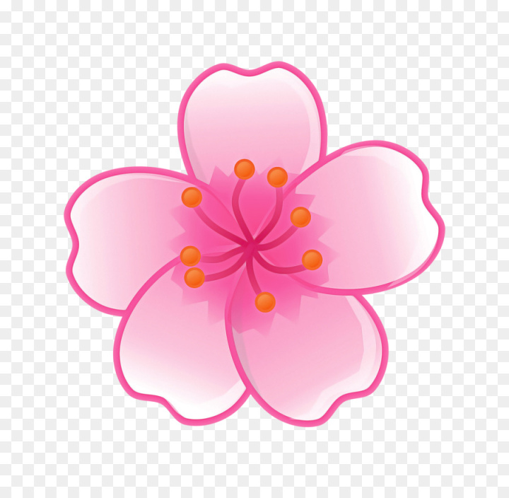 pink,petal,flower,plant,cherry blossom,blossom,png