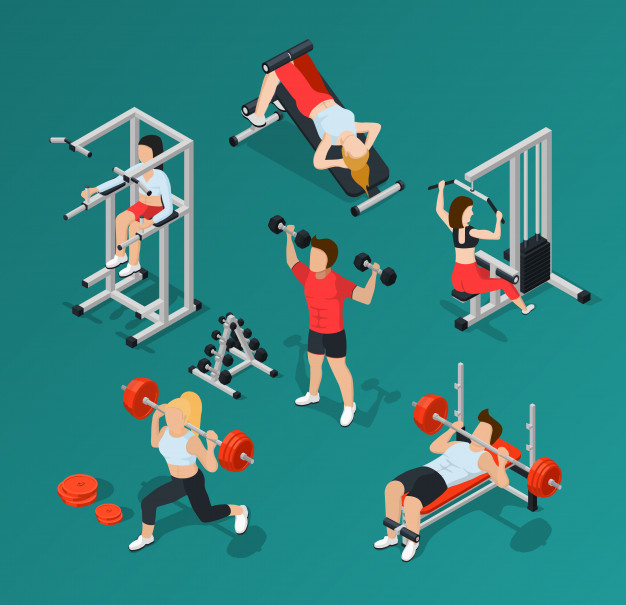 Gym Fitness Elements Set  Gym workouts, ? logo, Vector free