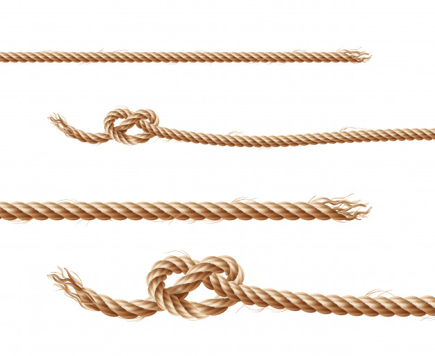 Set of nautical rope knots Royalty Free Vector Image