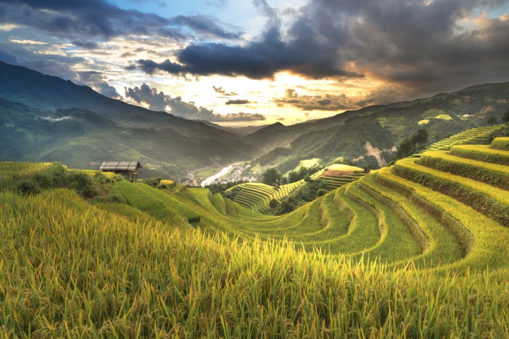 agriculture,countryside,crop,cropland,farm,field,grassland,landscape,mountain,outdoors,pasture,rice terraces,rural,scenic