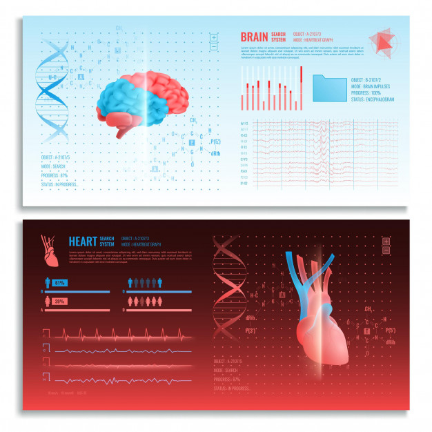 infochart,visualization,artificial,physiology,gene,diagnostic,cardiogram,visual,organ,hud,scanner,horizontal,realistic,set,pulse,intelligence,hologram,health care,device,evolution,anatomy,touch,care,display,innovation,dna,body,medicine,human,advertising,graph,health,doctor,medical,line,heart,abstract