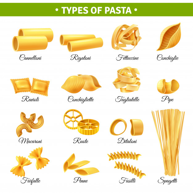 Delicious italian pasta types of high quality Vector Image