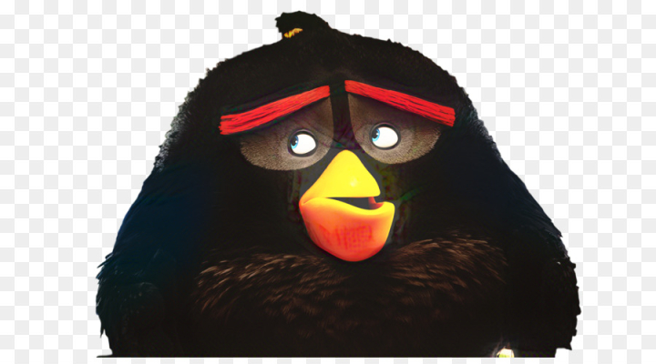 Free: Beak, Angry Birds, Animation PNG 