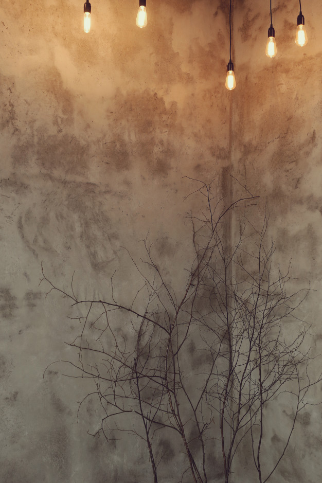 dried branches,dried,concrete wall,bulbs,light bulbs,surface,indoor,cement,beautiful,branches,apartment,concrete,branch,grey,gray,corner,interior,bulb,wall,home,light,house