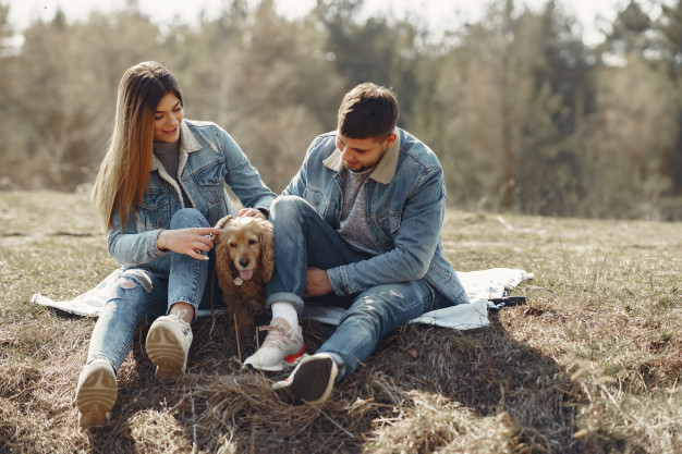 cheerful,boyfriend,casual,handsome,girlfriend,leisure,pretty,fur,adult,romance,blanket,relationship,male,lovers,day,portrait,sitting,emotion,jacket,young,together,female,outdoor,jeans,romantic,field,beard,park,makeup,couple,grass,cute,animal,girl,nature,dog,love
