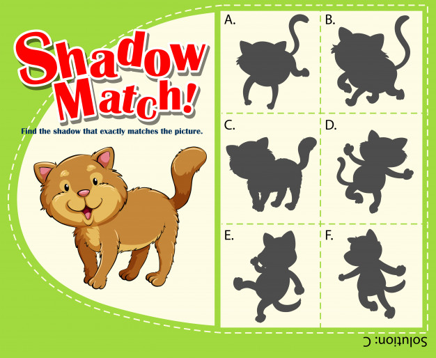 Play matching game for kids - Cats - Online & Free